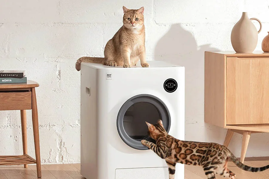 auto cat litter boxes