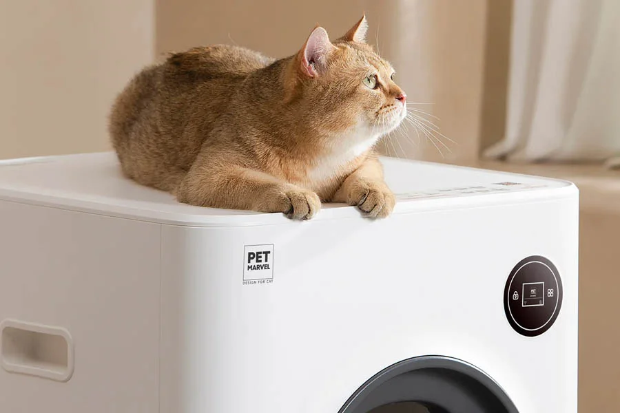 how to clean a cat litter box