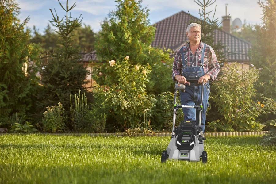 self-propelled push mower