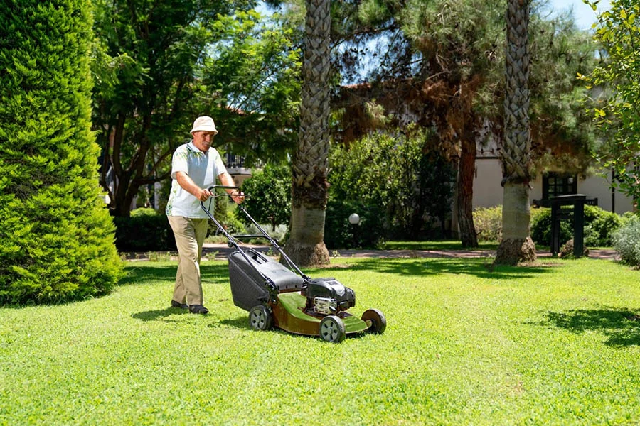 electric lawnmower