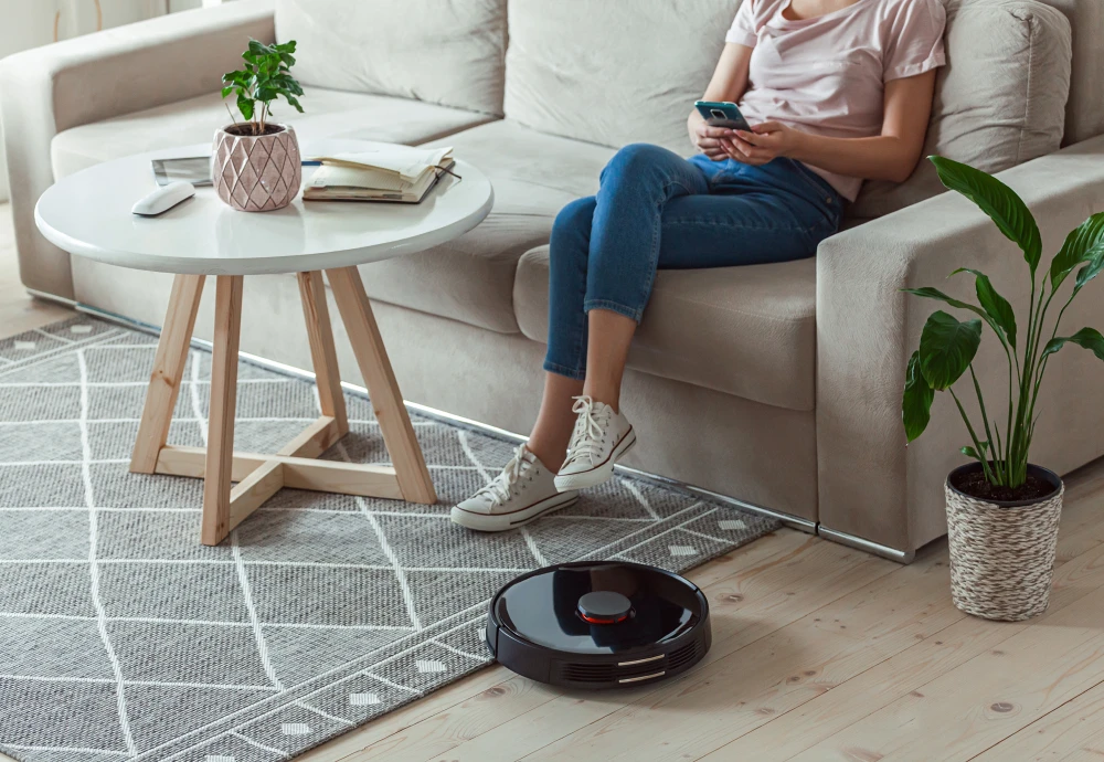 the robot vacuum cleaner